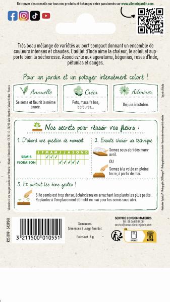 Fleurs - Oeillet d'inde double nain mix - MEDIA_PACKAGING_VERSO